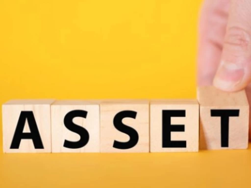 Asset