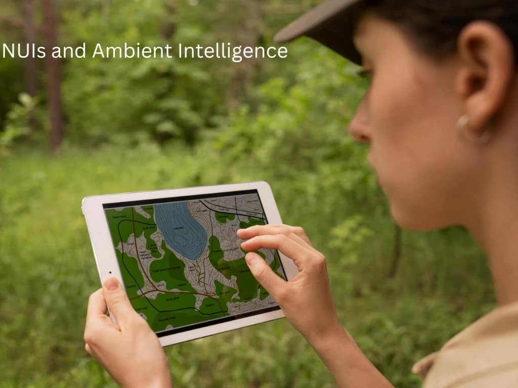NUIs