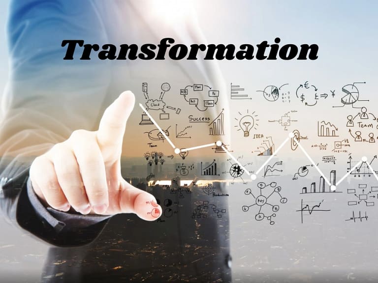 Company Transformation in the Digital Age: Building Innovation